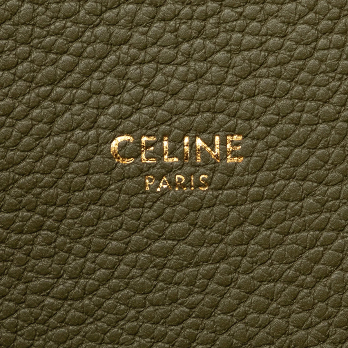 Pre-Owned Authenticated Celine Teen Bucket 16 Calf Leather Green Bucket Bag DrawstringBag Unisex (Good)