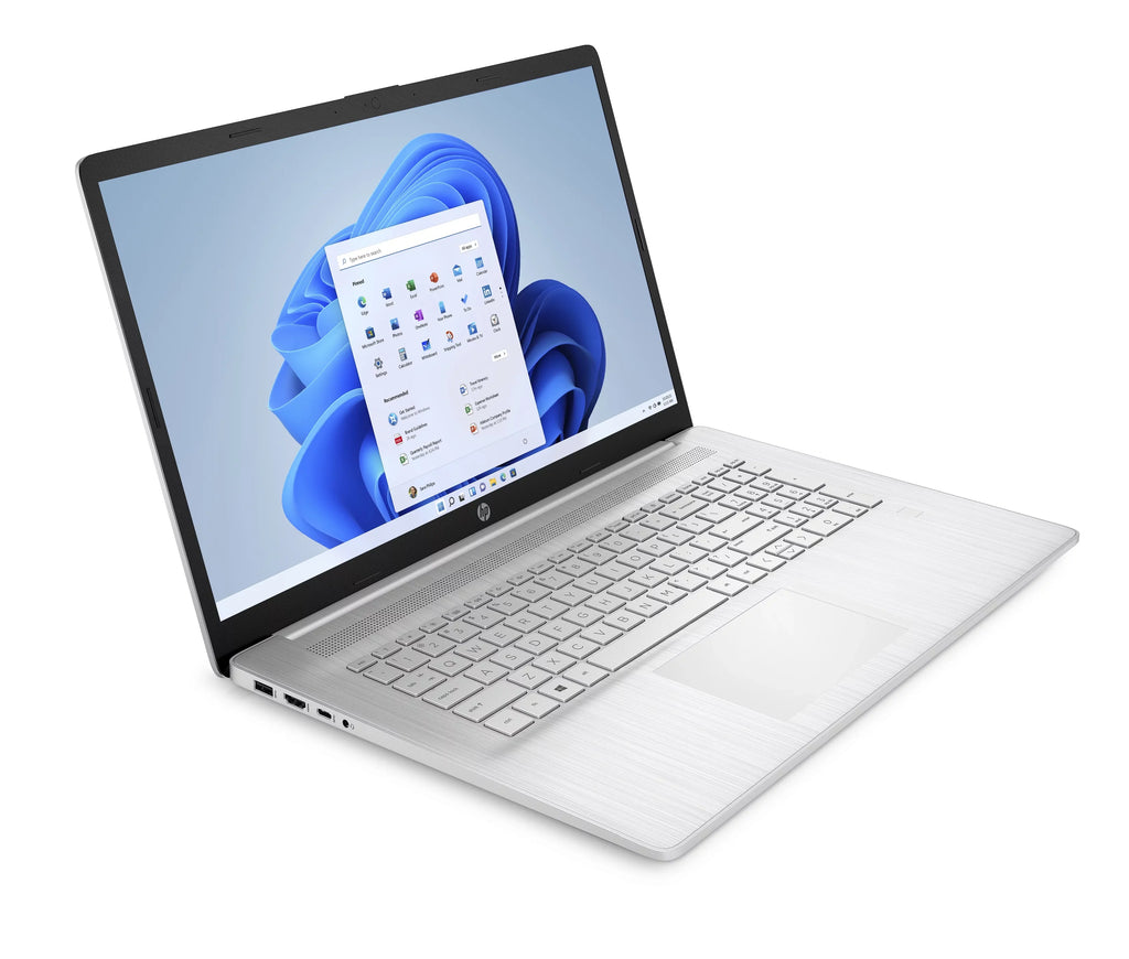 17.3" FHD Notebook AMD Ryzen 5 5500U 8GB RAM 256GB SSD Natural Silver