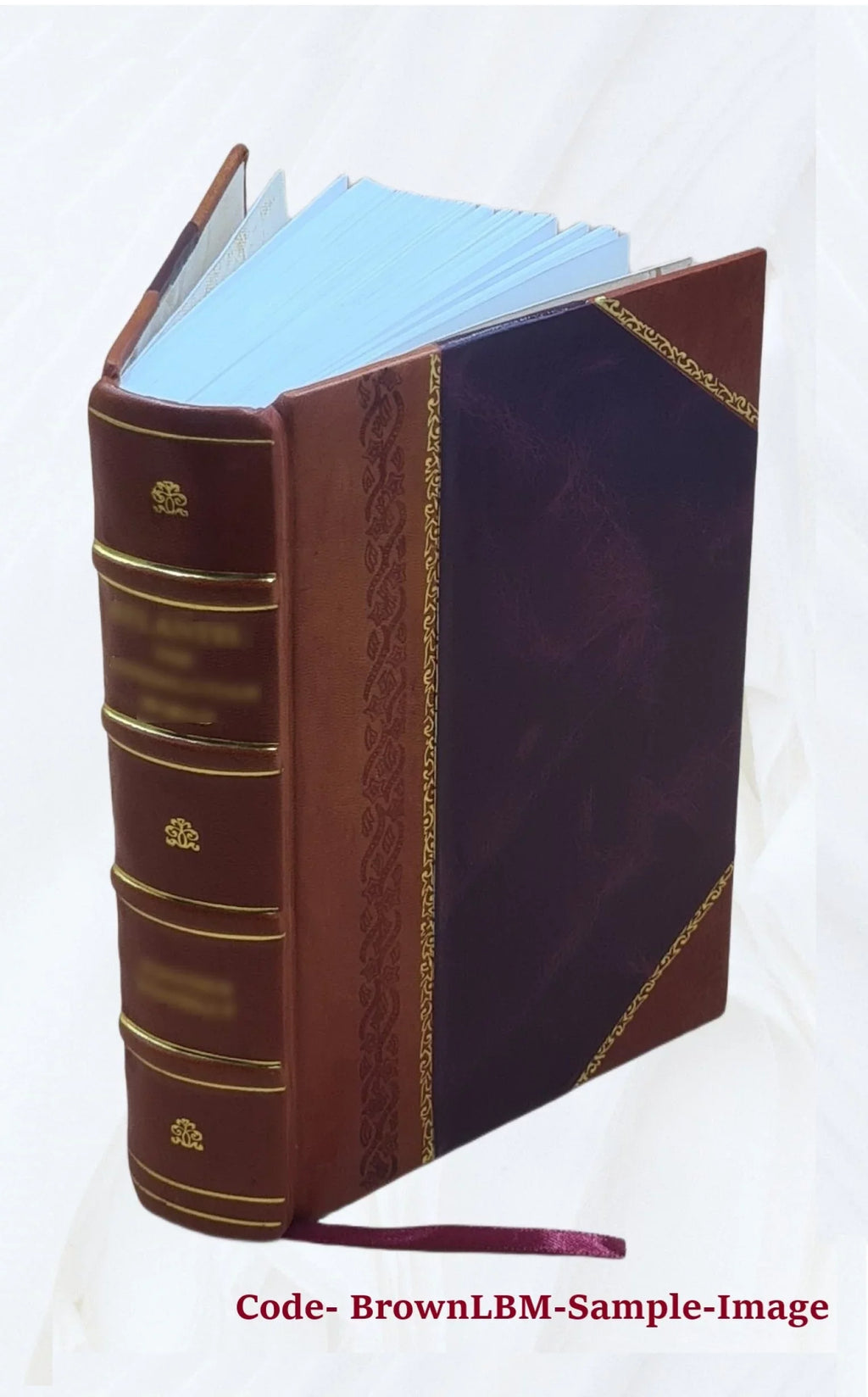 Rabuteau ; 2e édition par Edme Bourgoin. Edition 2 / par A. 2e édition : appliquée à l'empoisonnement. Éléments de toxicologie et de médecine légale appliquée à l'empoisonnement..