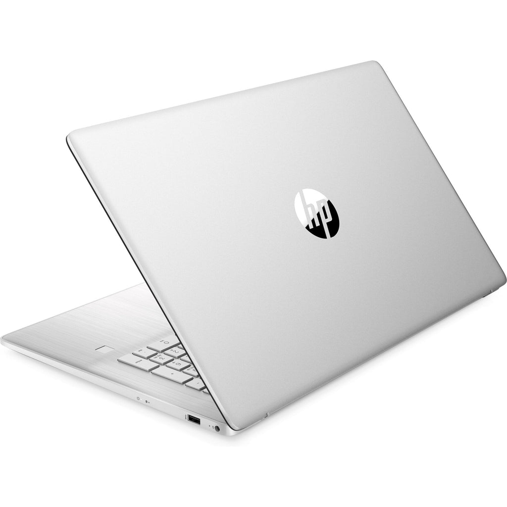 17.3" FHD Notebook AMD Ryzen 5 5500U 8GB RAM 256GB SSD Natural Silver