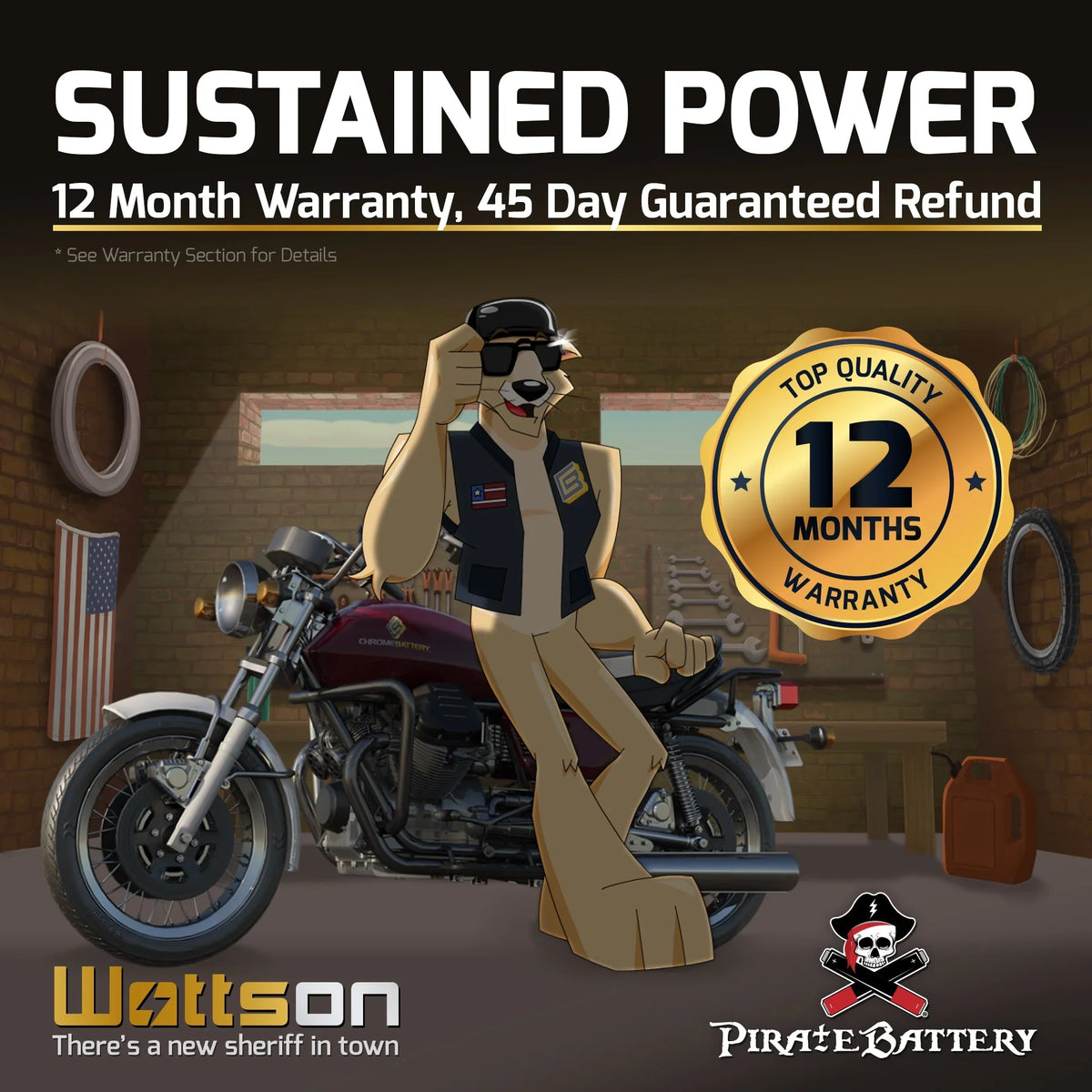 Pirate Battery YTX16L-BS (16L-BS 12 Volt,14 Ah, 230 CCA) Jet Ski Battery for Kawasaki 750cc Jh750 Ss St Xi Xir 1994