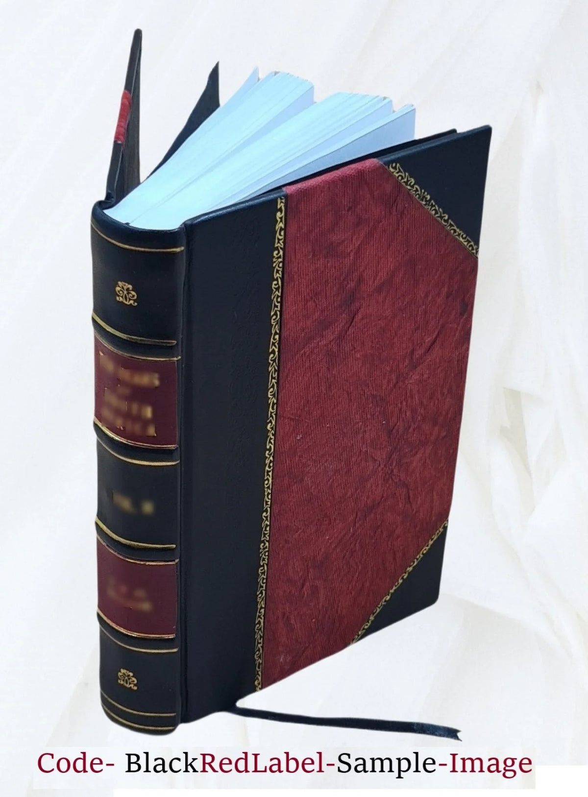 Volume v.6 1846 [Leather Bound]. Bouillet. / J.-B. Nobiliaire d'Auvergne ..