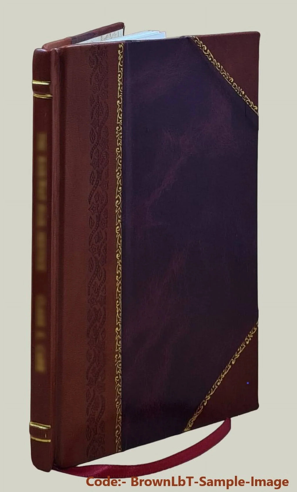 Prepared for Washington Environmental Research Center, Off [Leather Bound]. A cost evaluation of alternative air premium control strategies / by Scott E.Atkinson and Donald H.Lewis